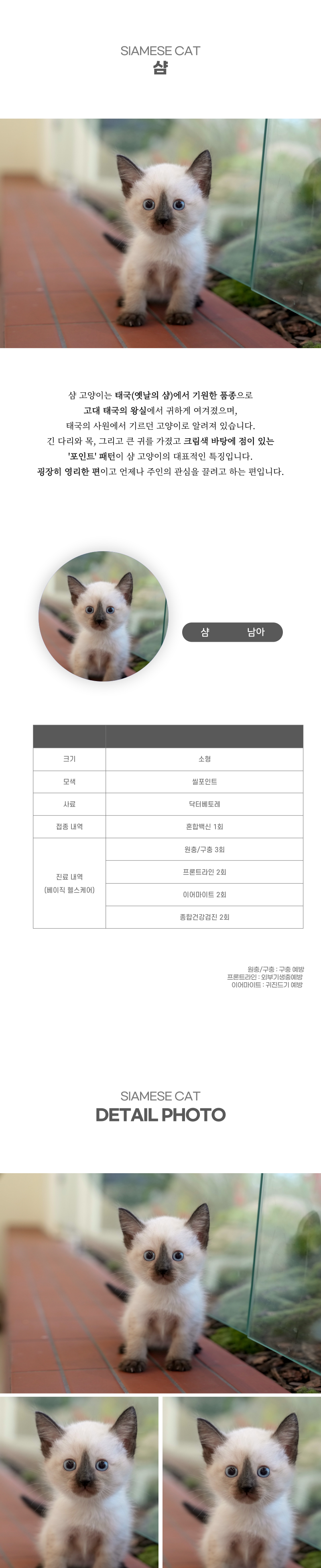 샴_상세이미지_2